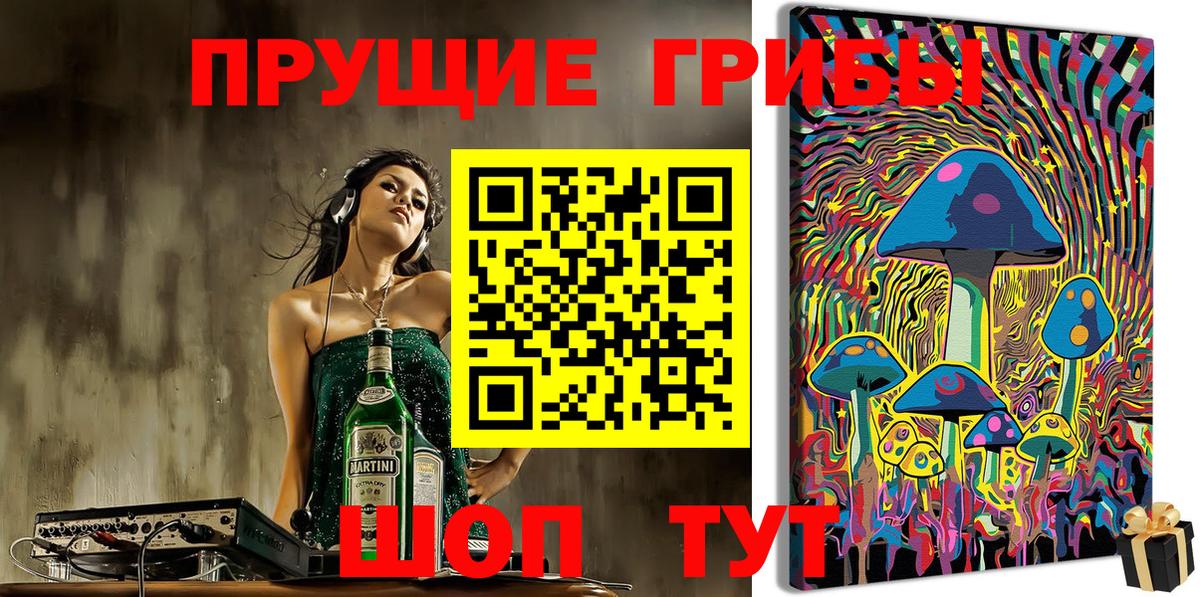 Галлюциногенные грибы Psilocybe Таганрог