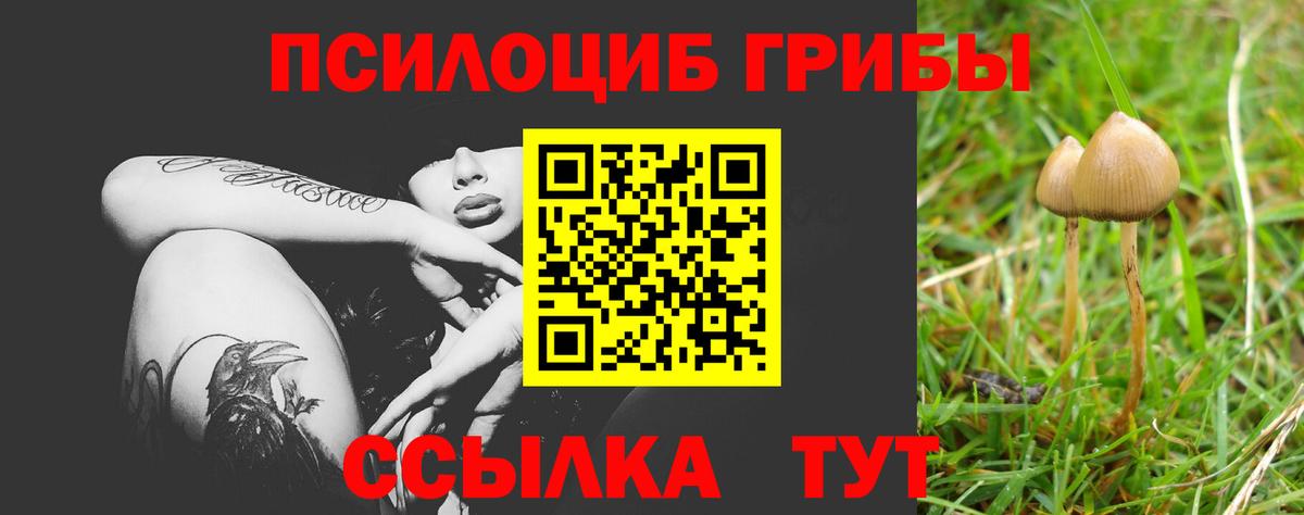 Галлюциногенные грибы MAGIC MUSHROOMS  Псилоцибиновые грибы Cubensis  Вход с VPN  Таганрог 